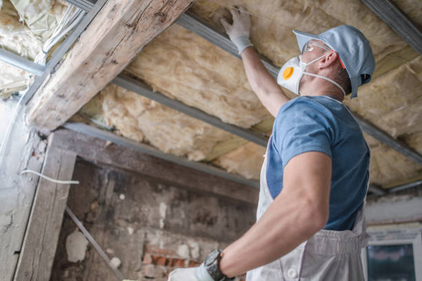 Best Blown-in Insulation in Cherry Grove, OH
